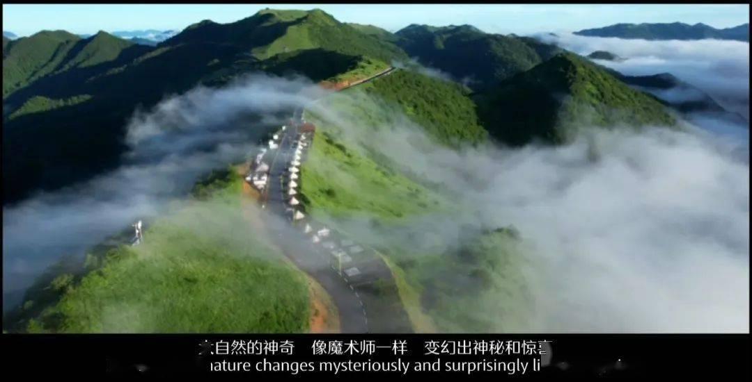 泰拉瑞亚